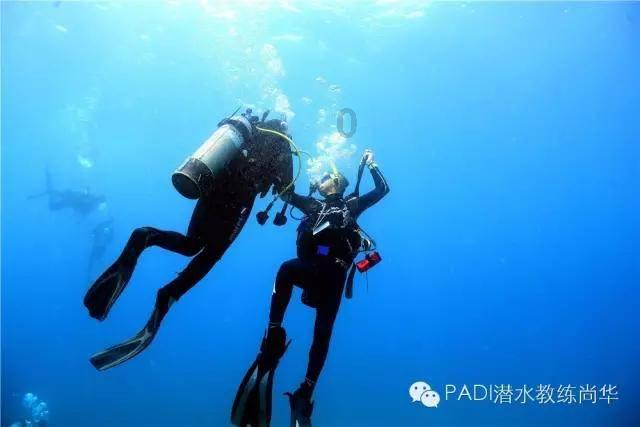 老妇人营救