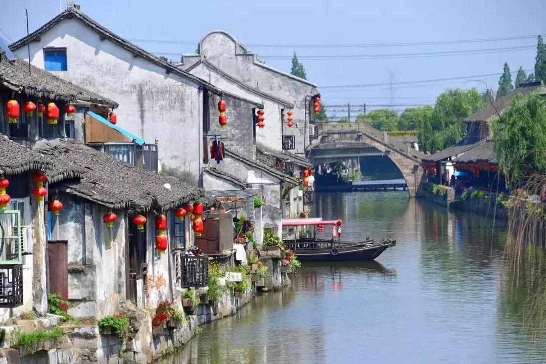 植物大战僵尸21